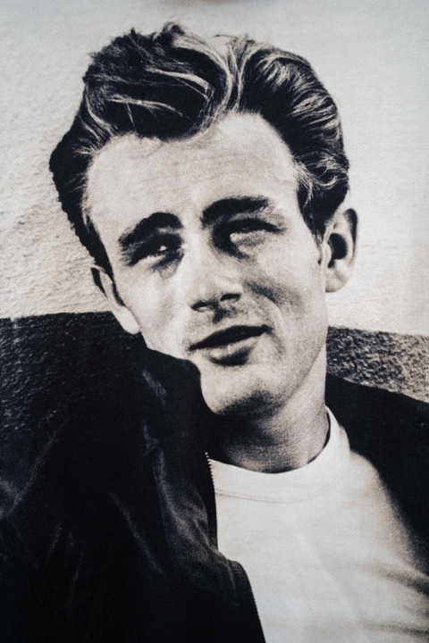 Męska bluza 100% bawełna, z kapturem