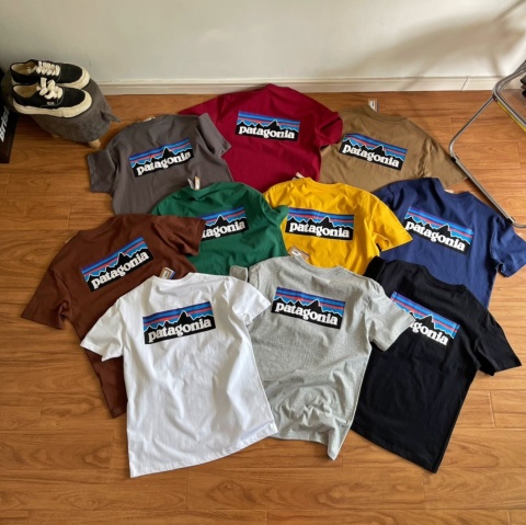 Koszulka T-shirt Patagonia