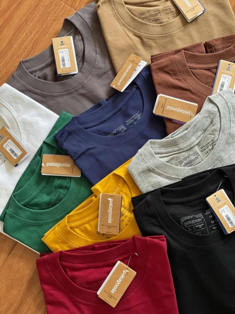 Koszulka T-shirt Patagonia