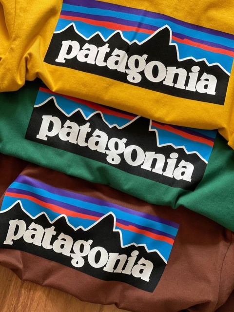 Koszulka T-shirt Patagonia