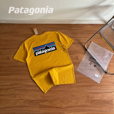 Koszulka T-shirt Patagonia