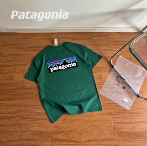 Koszulka T-shirt Patagonia