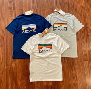 Koszulka T-shirt Patagonia