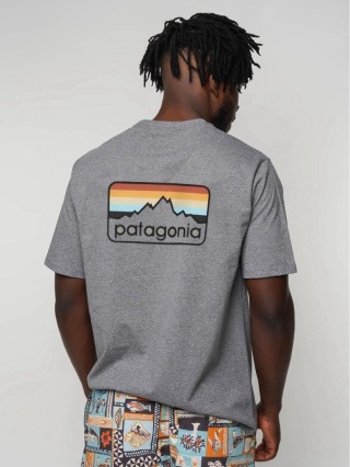 Koszulka T-shirt Patagonia