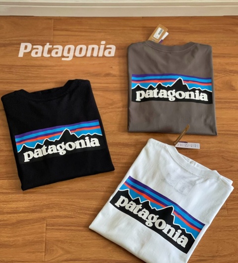 Męska bluza Patagonia longsleeve loose fit tee