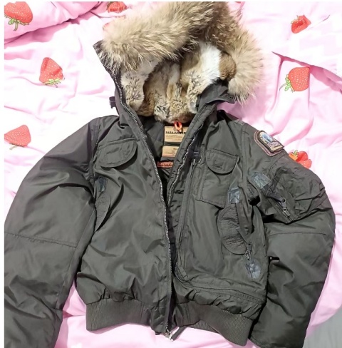Kurtka Parajumpers